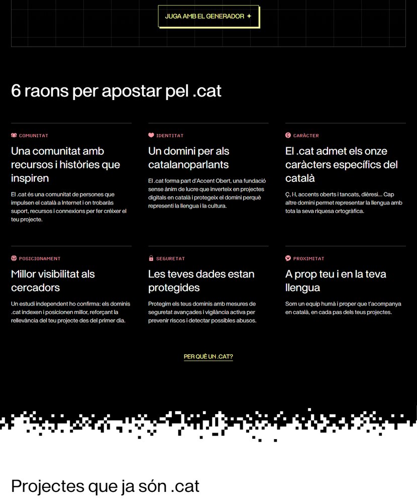 Domini .cat: captura 3